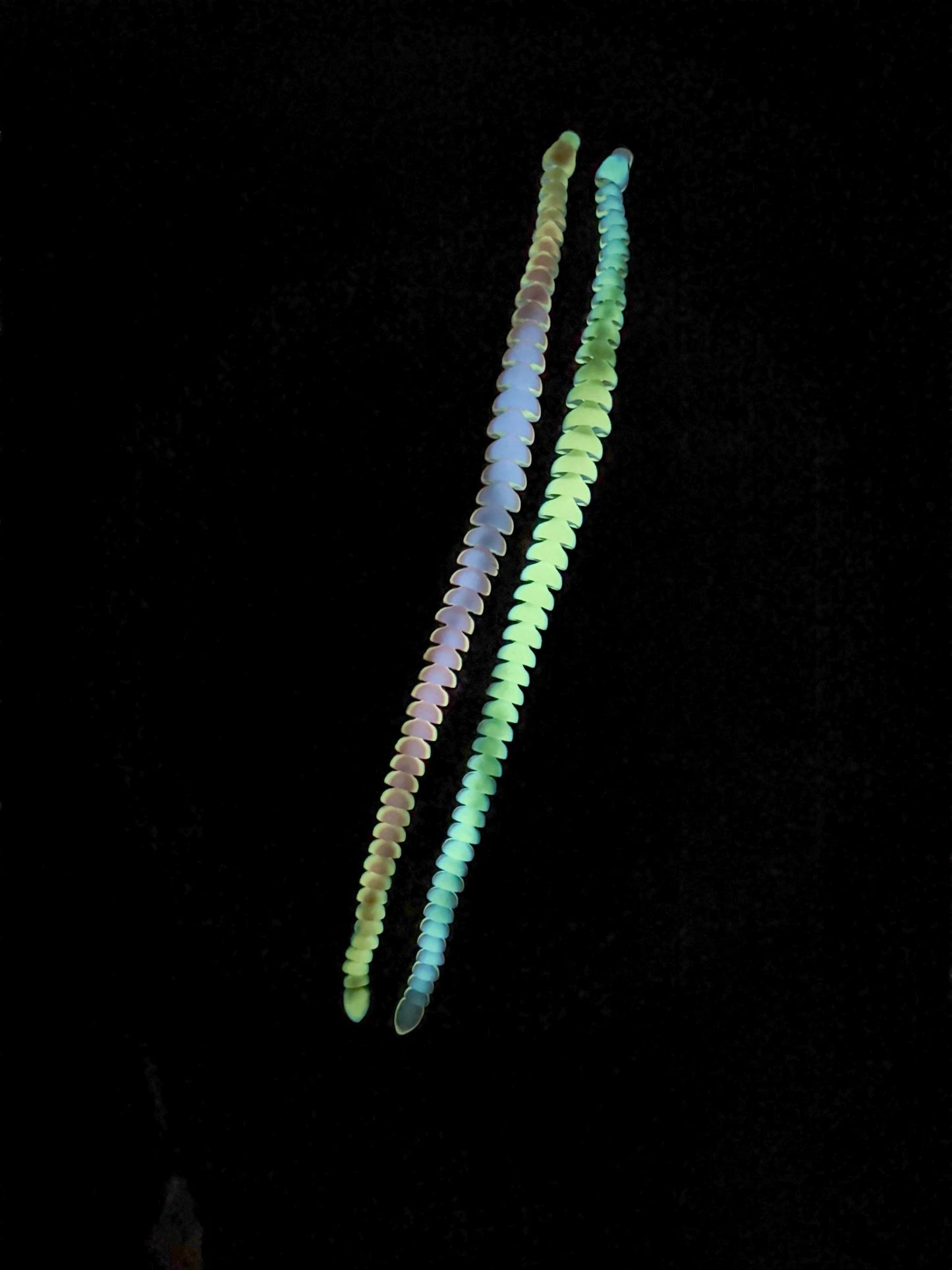 32 - Inch Articulated Rainbow Snake – 3D Printed, Glow - in - the - Dark Fidget Toy - Designs by Lauren Ann