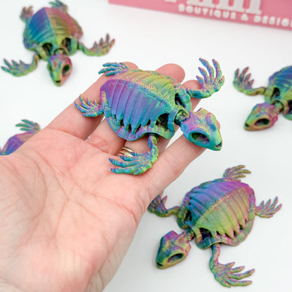 Skeleton Turtle Mixed Colors