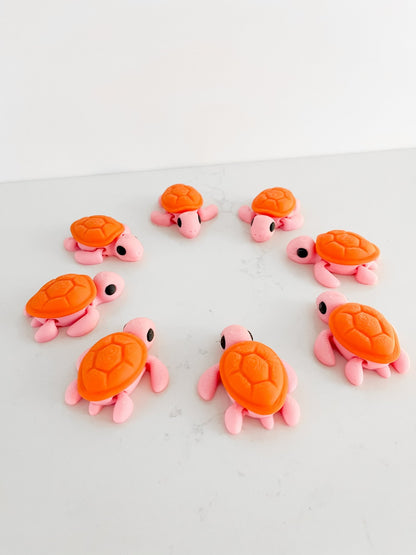 Baby Turtle - Designs by Lauren Ann