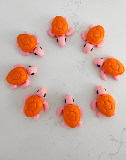 Baby Turtle - Designs by Lauren Ann