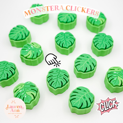 Monstera Mystery 3 Pack