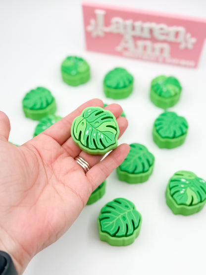 Monstera Mystery 3 Pack