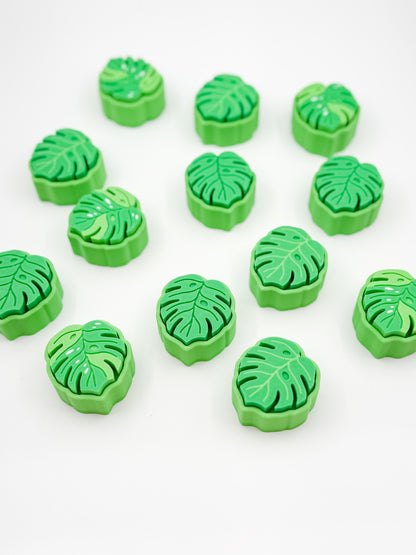 Monstera Mystery 3 Pack